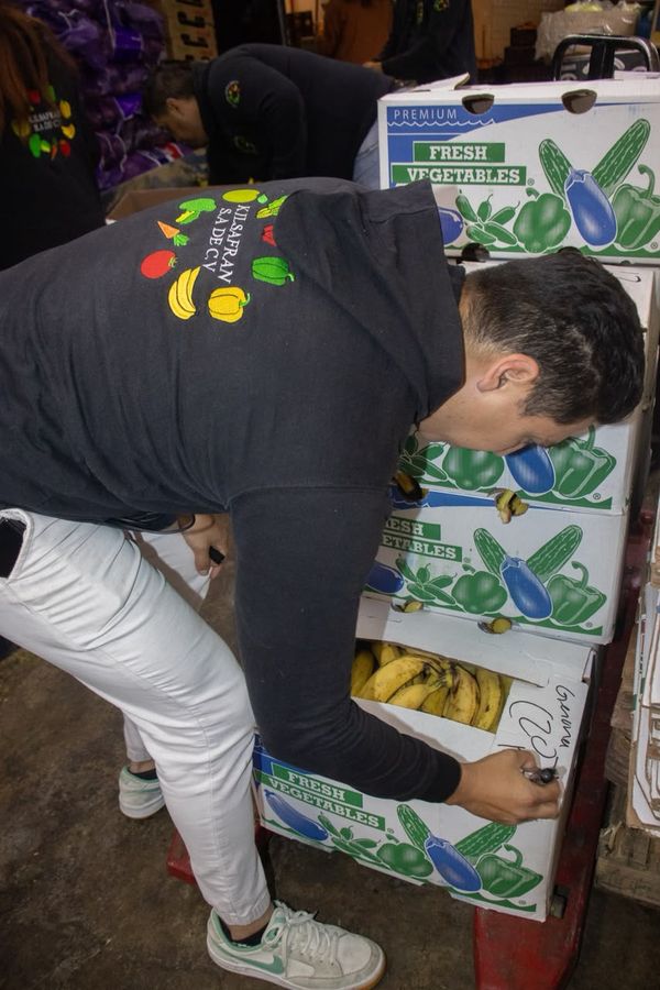 Integrante del equipo de Kilsafran con sudadera de la marca acomodando cajas de verdura